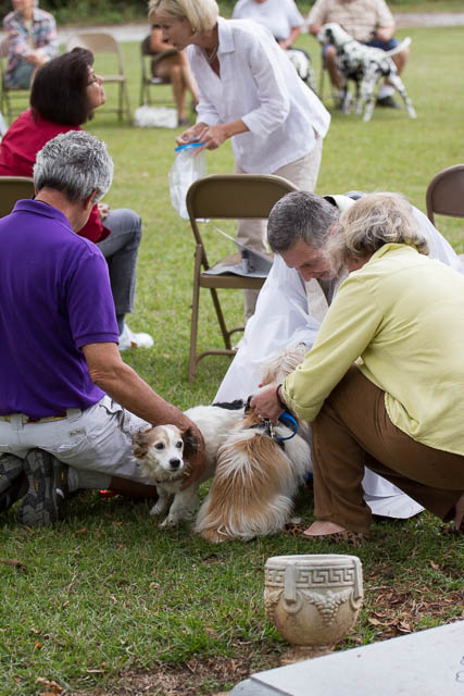 Blessing of the Animals 2013-59