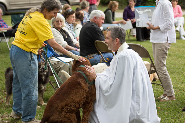 Blessing of the Animals 2013-60