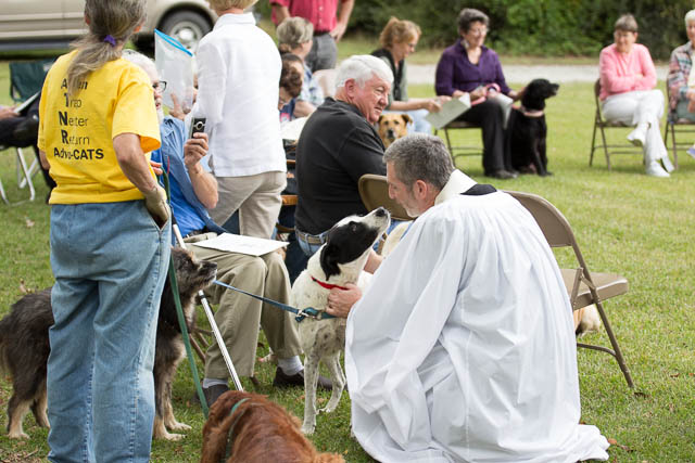 Blessing of the Animals 2013-61