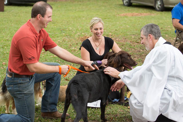 Blessing of the Animals 2013-64