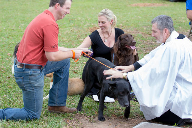 Blessing of the Animals 2013-65