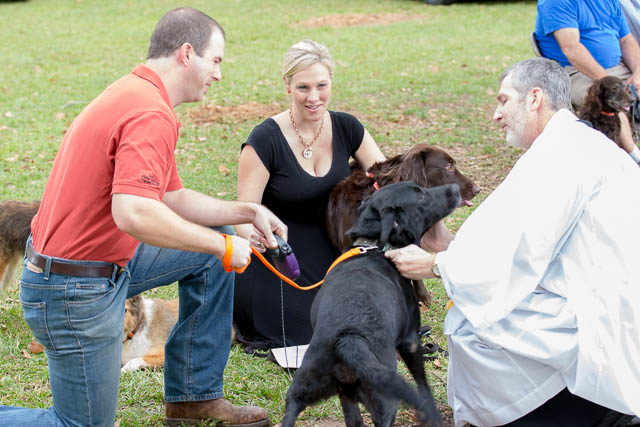 Blessing of the Animals 2013-66