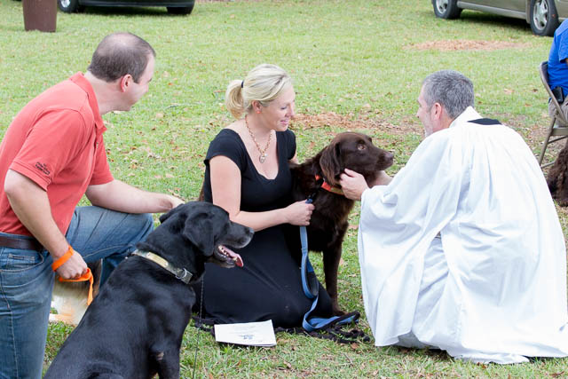 Blessing of the Animals 2013-67