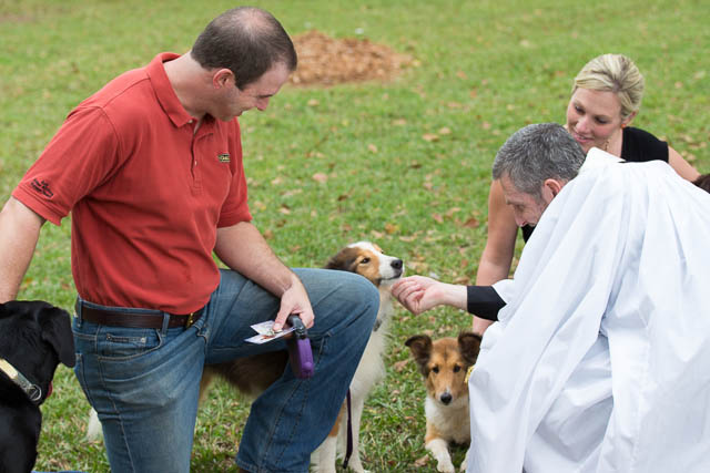 Blessing of the Animals 2013-71
