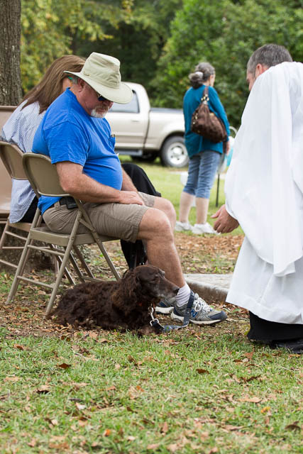 Blessing of the Animals 2013-73
