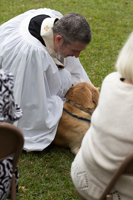 Blessing of the Animals 2013-74