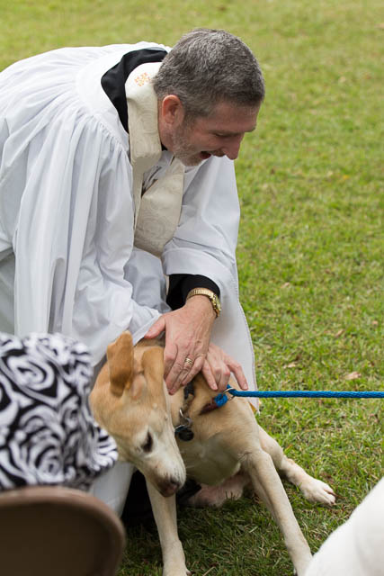 Blessing of the Animals 2013-75