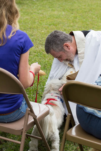 Blessing of the Animals 2013-81