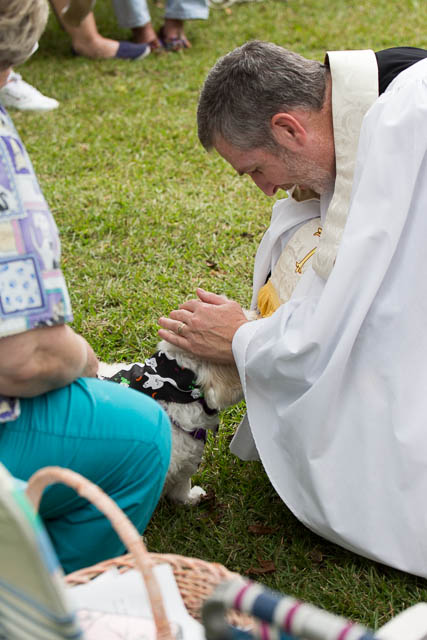 Blessing of the Animals 2013-82