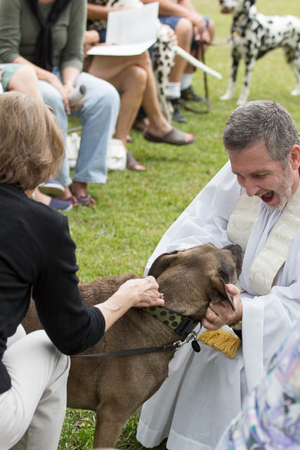Blessing of the Animals 2013-84
