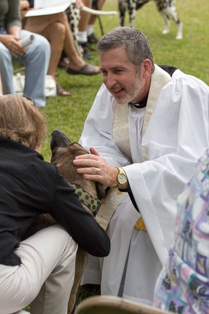 Blessing of the Animals 2013-85