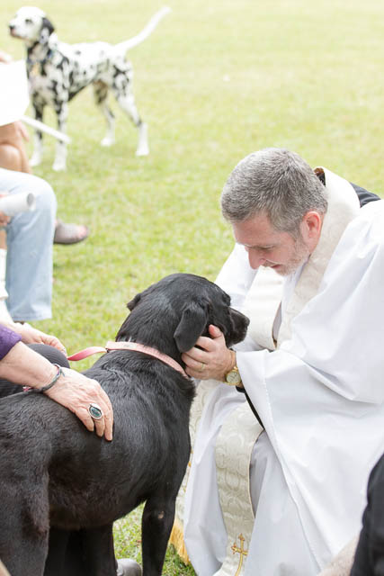 Blessing of the Animals 2013-86