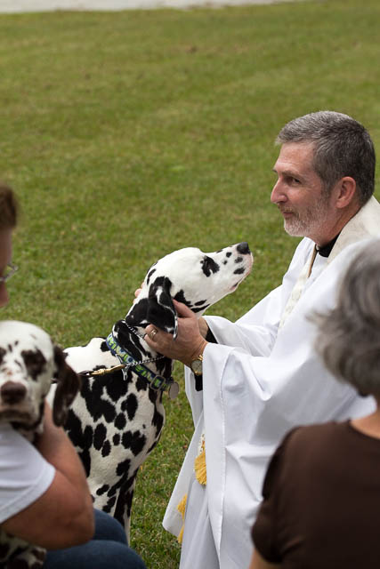 Blessing of the Animals 2013-87