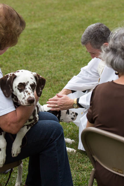 Blessing of the Animals 2013-88