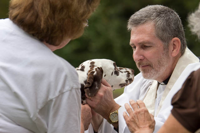 Blessing of the Animals 2013-90