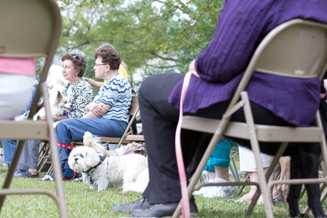 Blessing of the Animals 2013-94