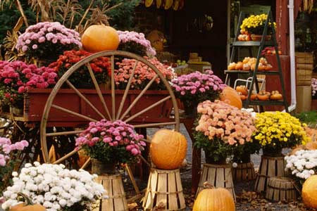 Downtown Edgefield Fall Festival – A Day of Fun for All the Family