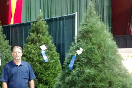 Local Christmas Trees Awarded Blue Ribbons at State Fair