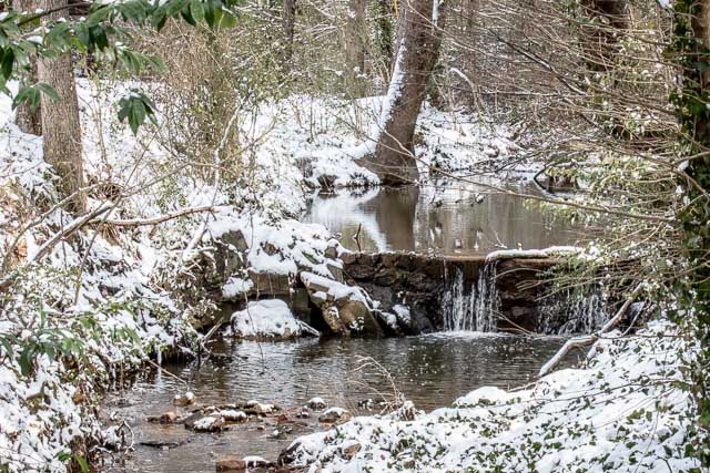 29Jan14 Snow Day-6