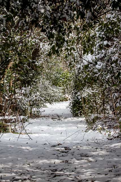 29Jan14 Snow Day-9