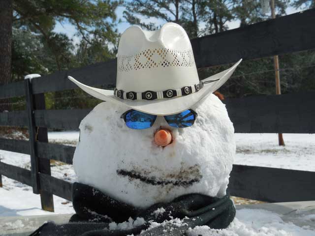 Cowboy-Snowman-by-Stephanie-and-Debra-Mims