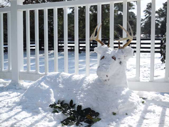 Snow-buck-by-Stephanie-Debra-MIms-Kristen-Irby