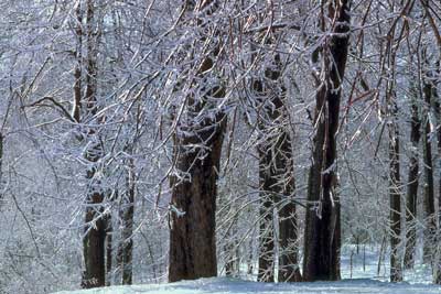 Winter Storm Warning