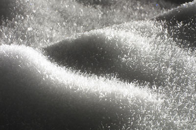Edgefield County School Delays/Closings – UPDATED