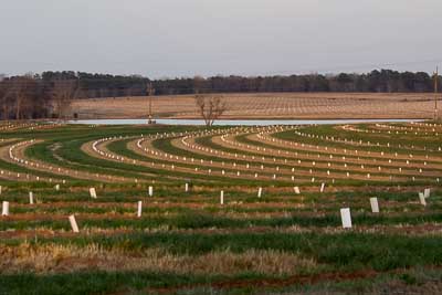 Applications Available for 2014 SC Commissioner’s School for Agriculture