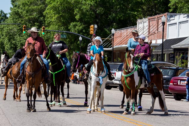 Peach Blossom Festival 2014-21