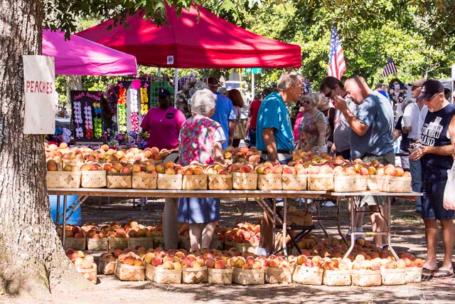 Ridge Peach Festival 2014