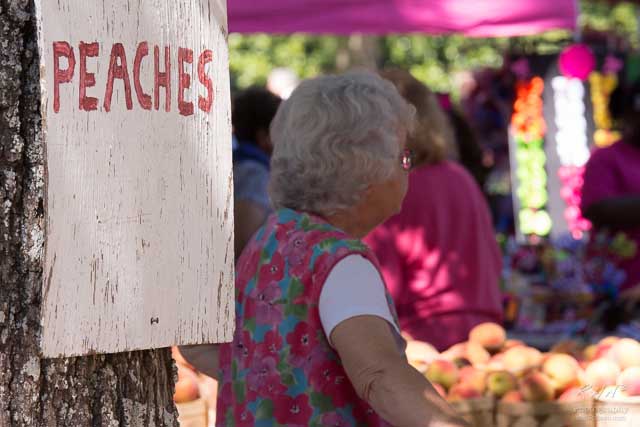 Ridge Peach Festival 2014