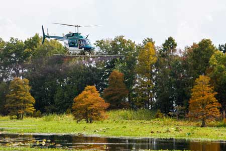 Santee Cooper to Conduct Aerial Treatments for Invasive Plants in lakes Marion and Moultrie