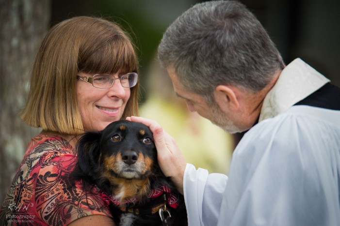 Blessing of the Animals