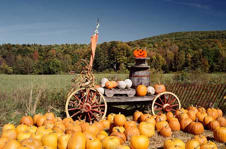 Ridge Spring Harvest Festival, Oct 24-25