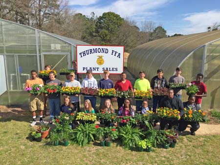 Annual FFA Plant Sale at STHS