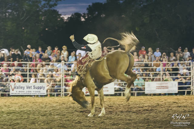 Rodeo 2015-9