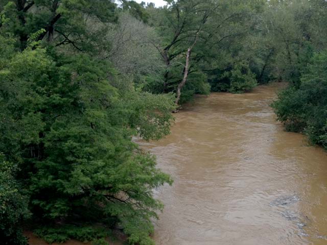 Recent Rains Push Stevens Creek Over Its Banks