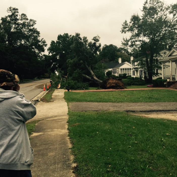 Downed Trees in Johnston