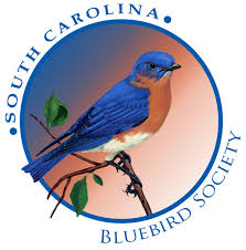 Blue Birds: Conservation Project