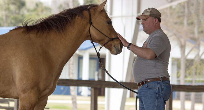 Lander Univ. to Offer Equine Therapy to Veterans with PTSD