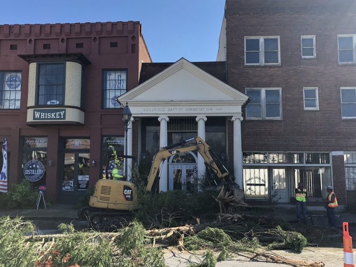 A Tree Grew in Edgefield Square