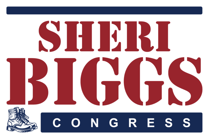 Sheri Biggs Wins Republican Nomination in WC-03